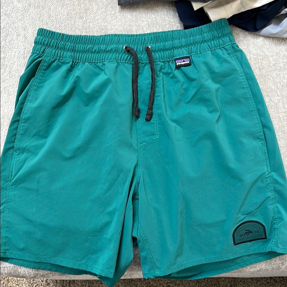 Patagonia Men's Green Dri-fit Shorts XS